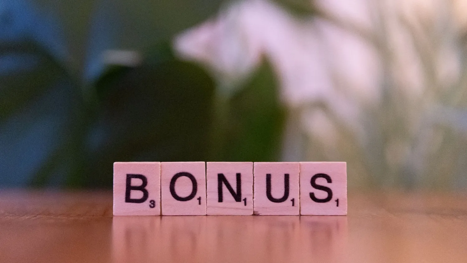 Bonusvoorwaarden uitgelegd