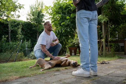 Duidelijke begeleiding voor honden