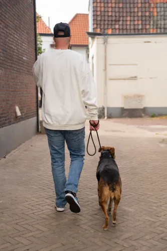 Rogier wandelen met hond