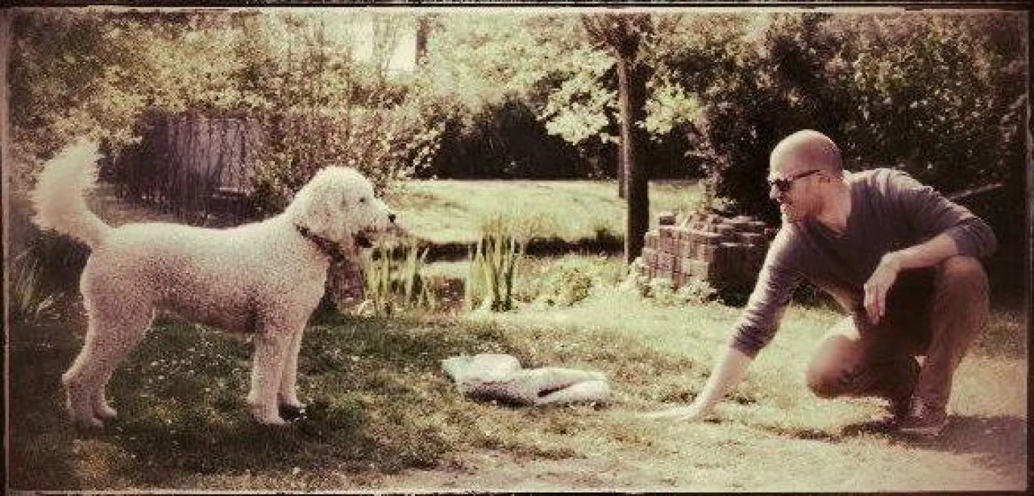 Een blaffende labradoodle die tegen pups fel tekeer ging