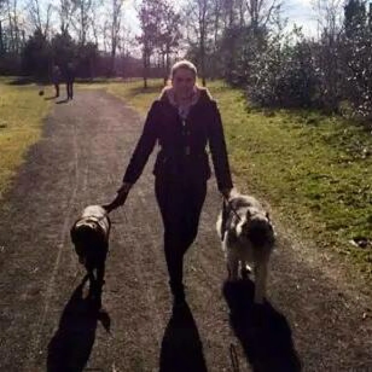Een rescue dog die het niet op labradors had