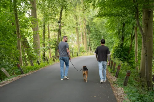 hond bang voor honden