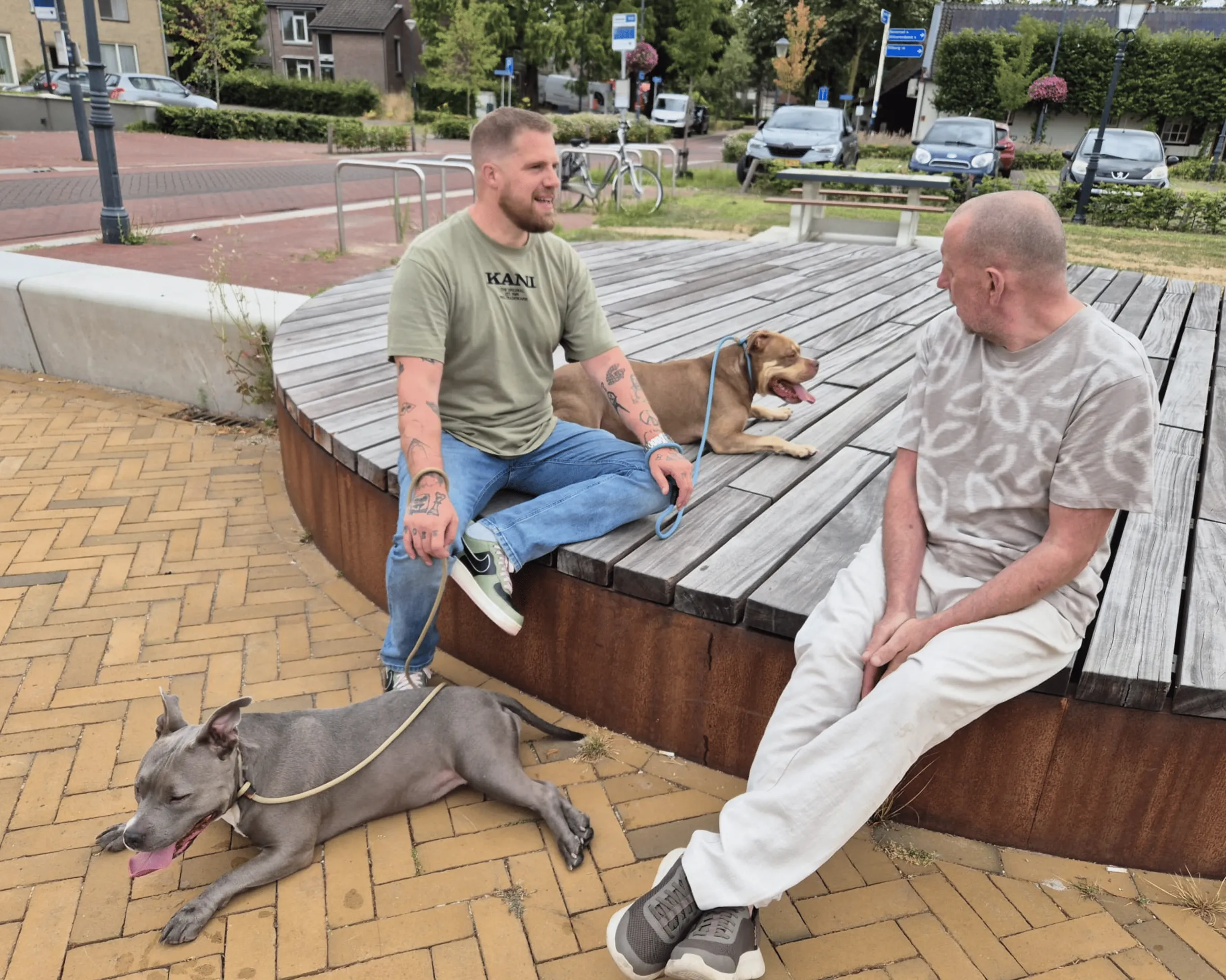 gedragstherapie voor honden