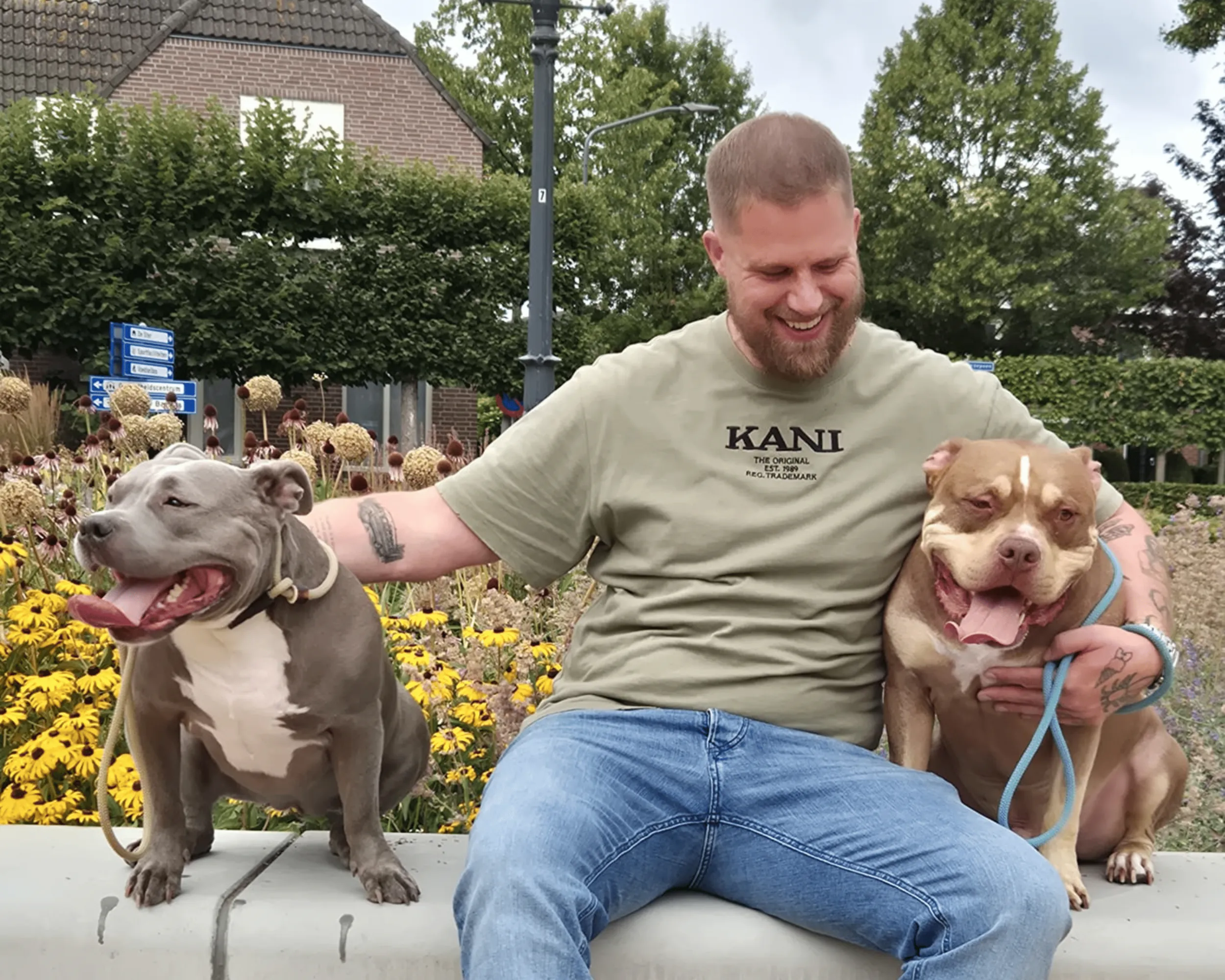 agressieproblemen honden