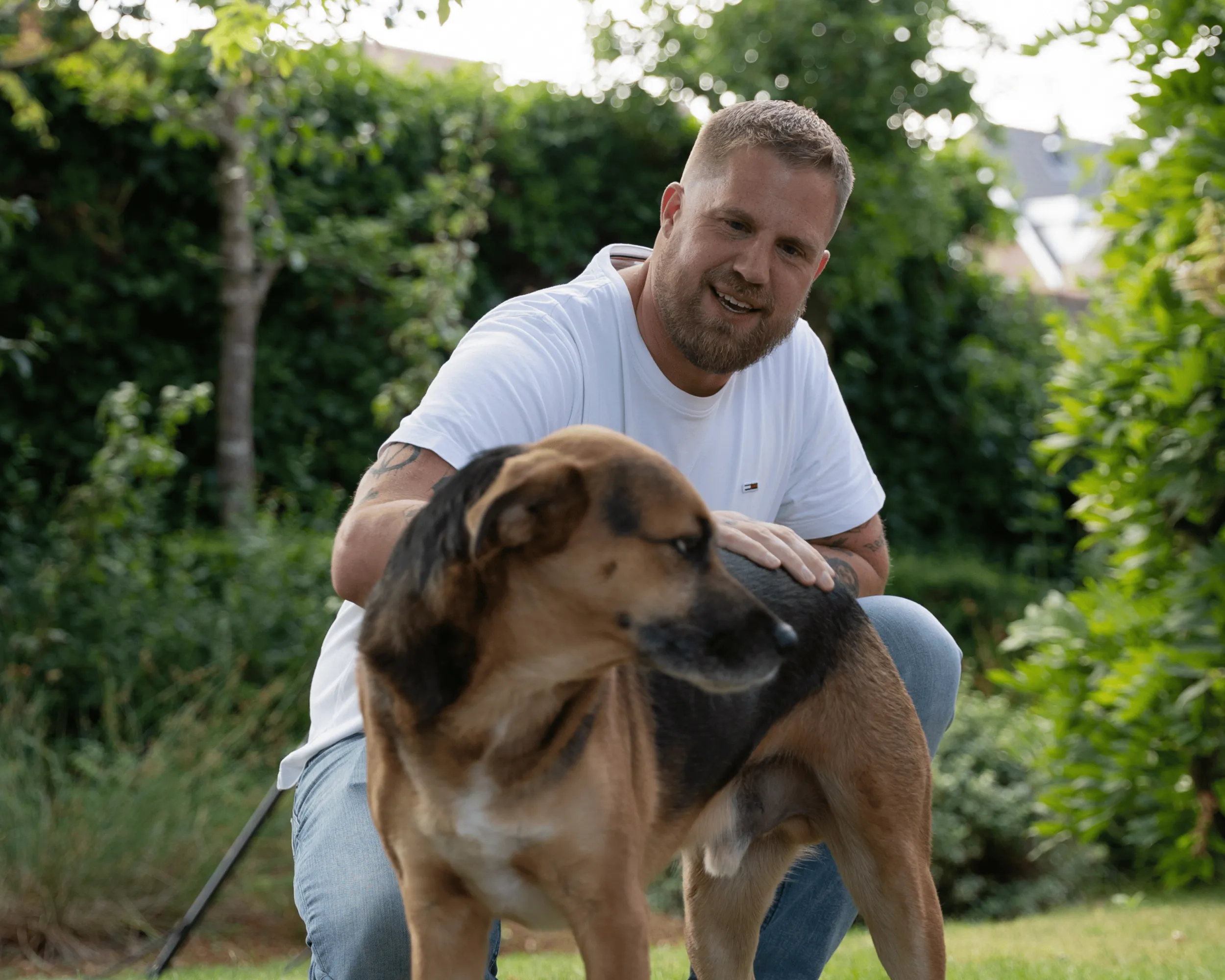 reactieve hond