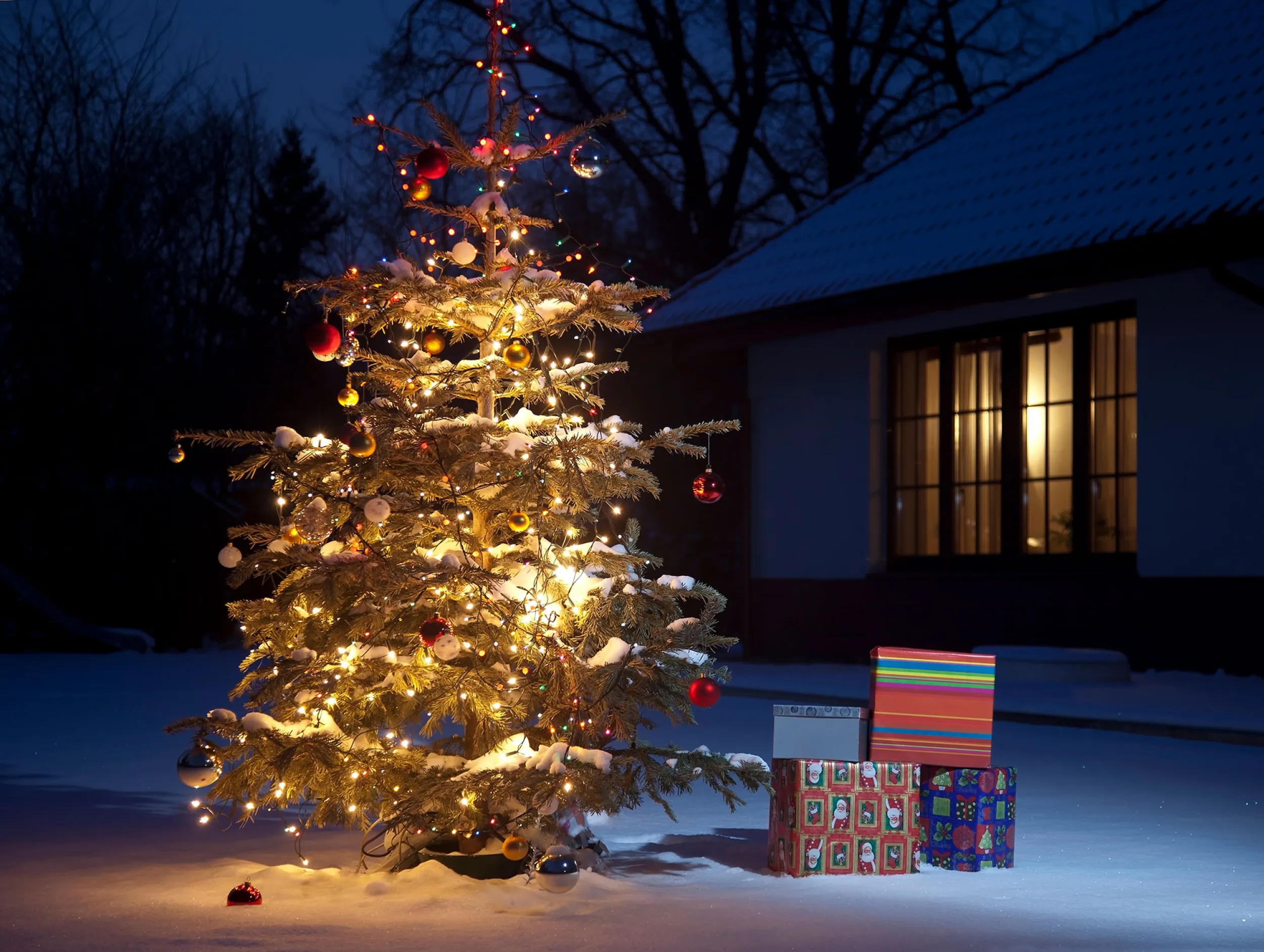 Kerstpakketten idee website 