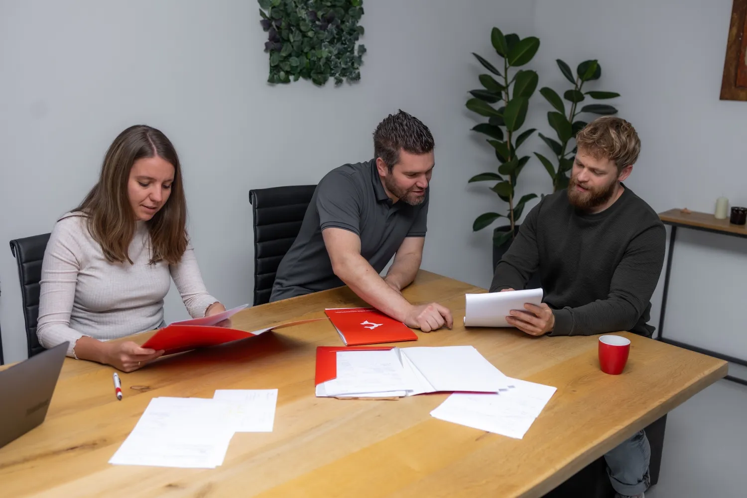 Webontwerp regio Limburg