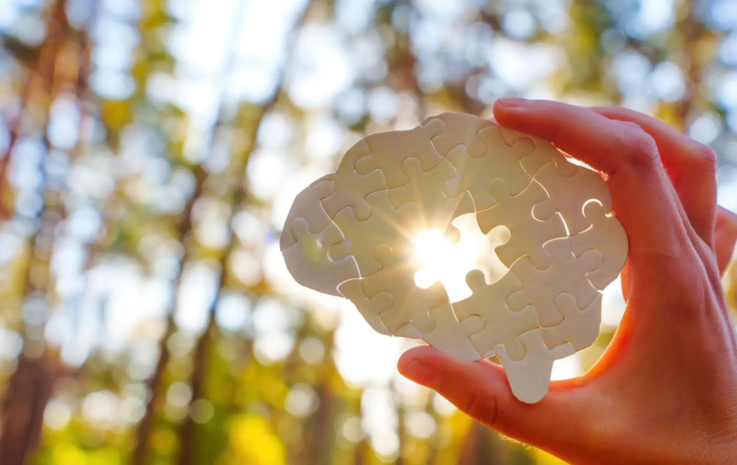 Banner afbeelding Mono Care 