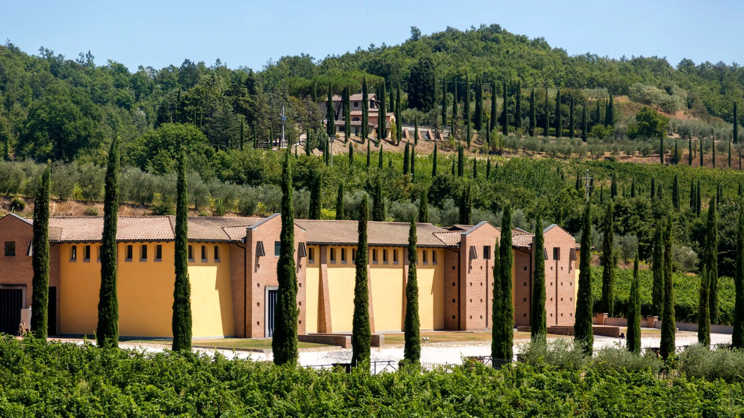 Slapen tussen de wijngaarden van Toscane