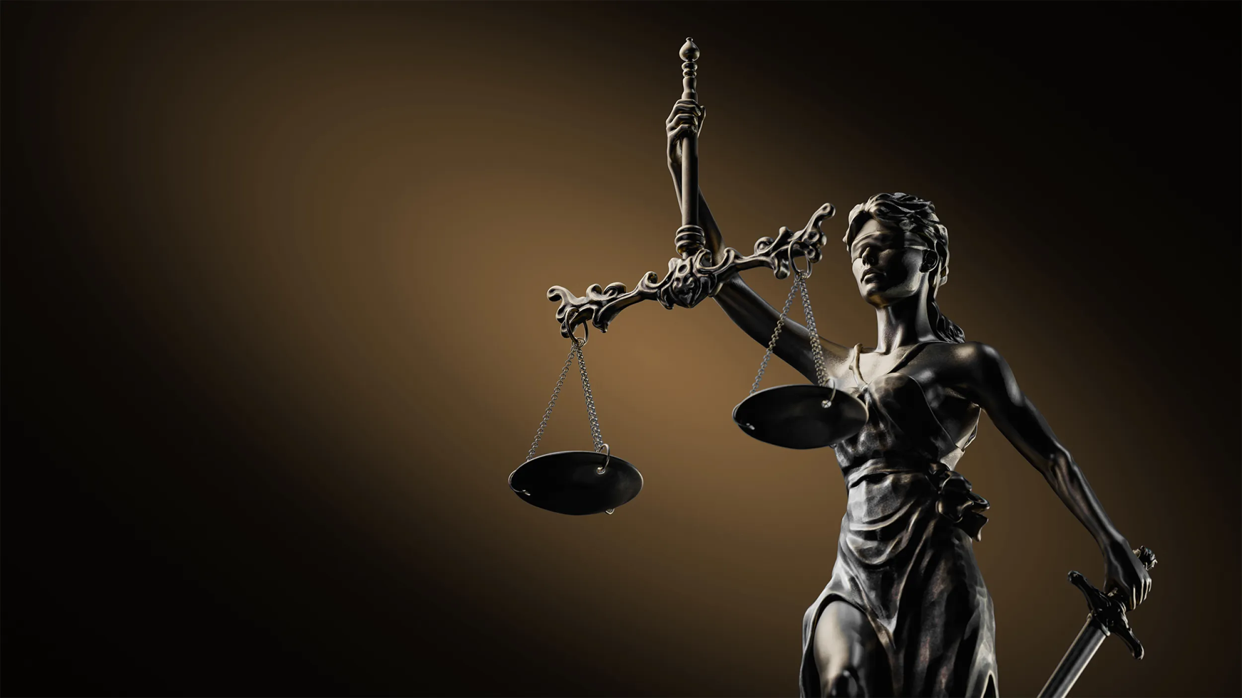 LION's Law juridisch advies