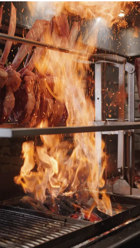 Vuur van de houtskoolgrill