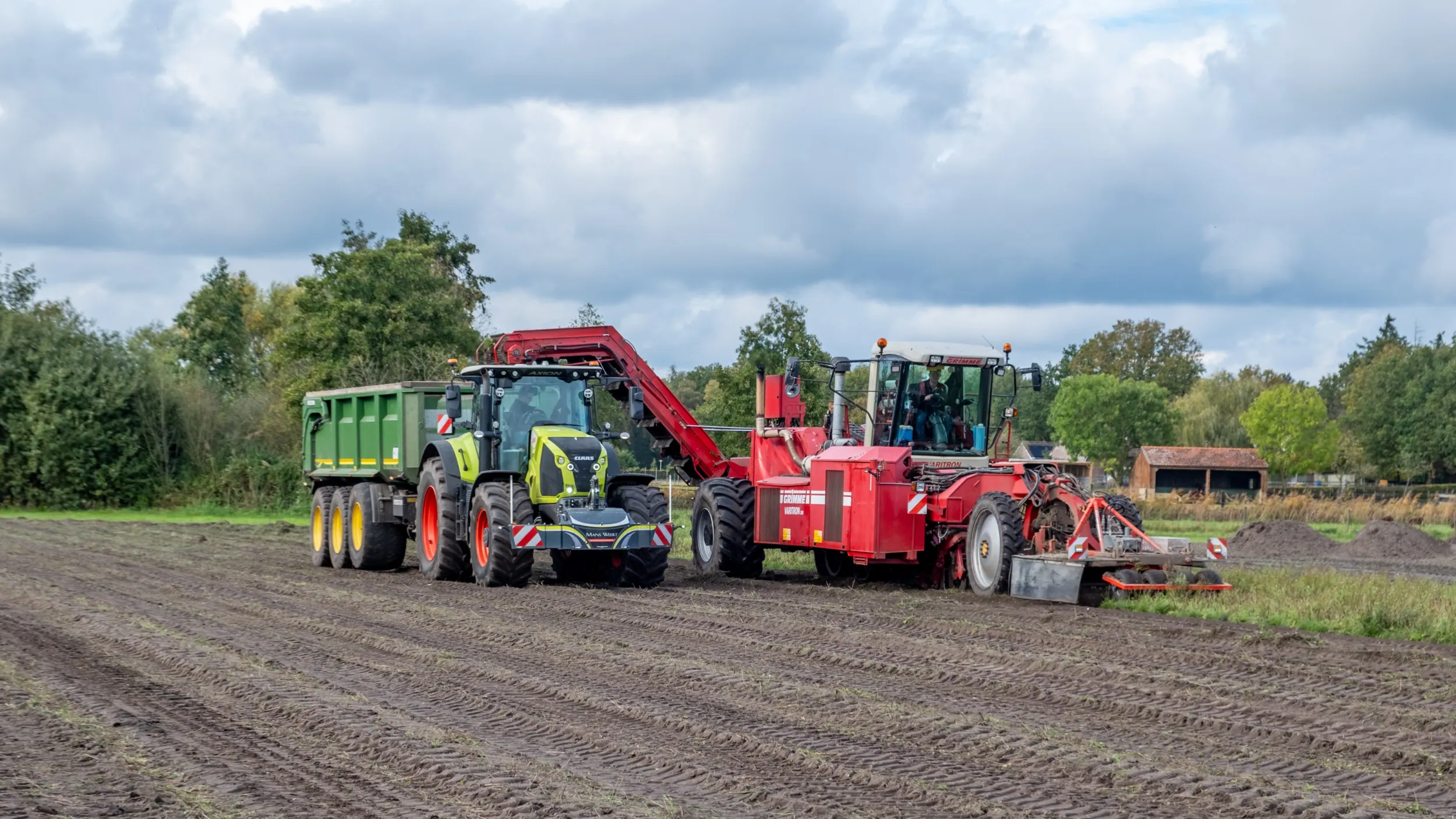 rooien weert
