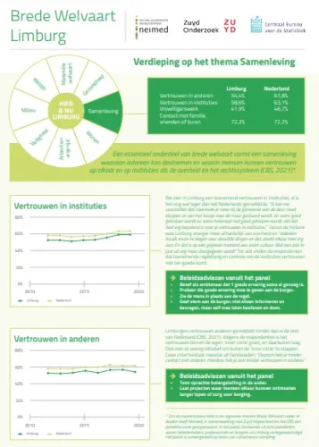 Regionale duiding: Brede Welvaart Limburg - Verdieping op het thema Samenleving