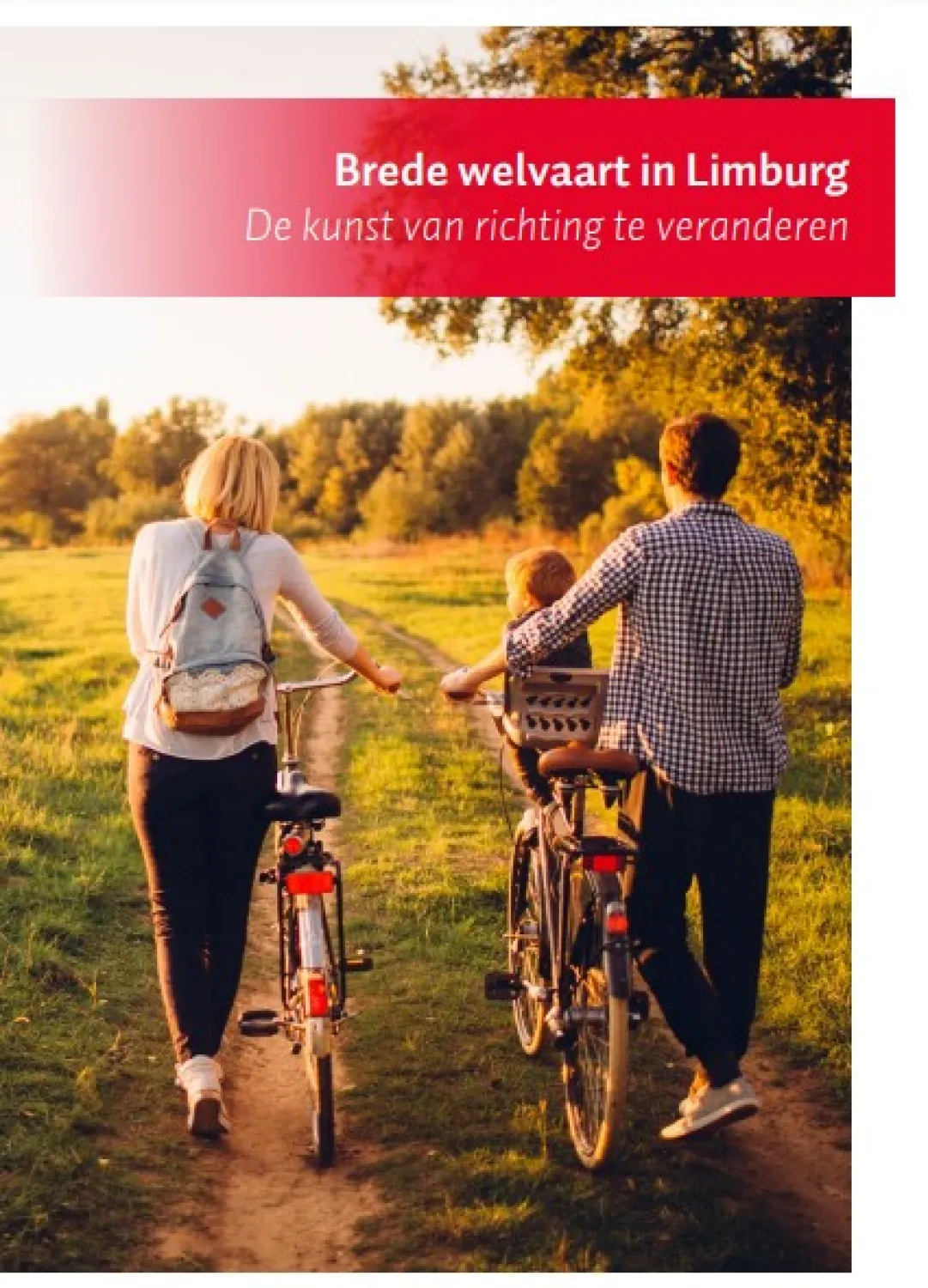 Brede welvaart in Limburg, de kunst van richting te veranderen