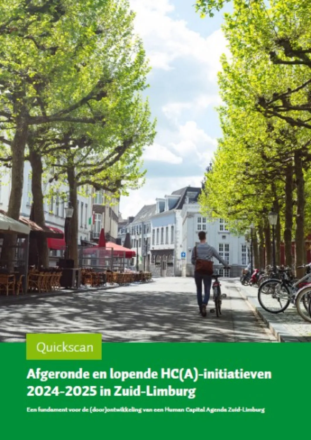 Quickscan afgeronde en lopende HC(A)-initiatieven 2024-2025 in Zuid-Limburg