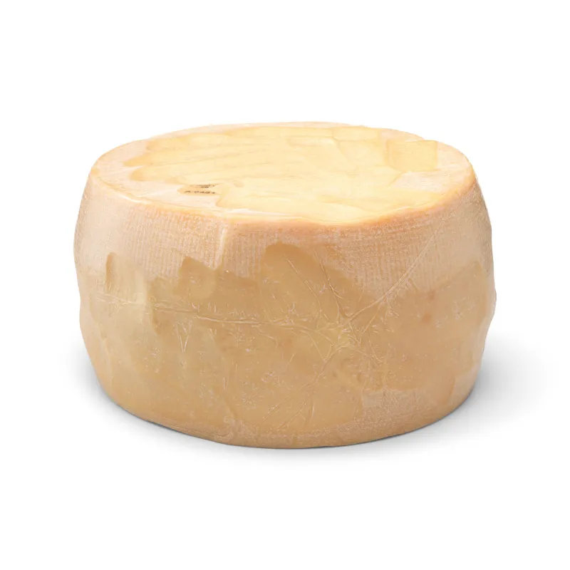 Formaggio a pasta dura da grattugiare