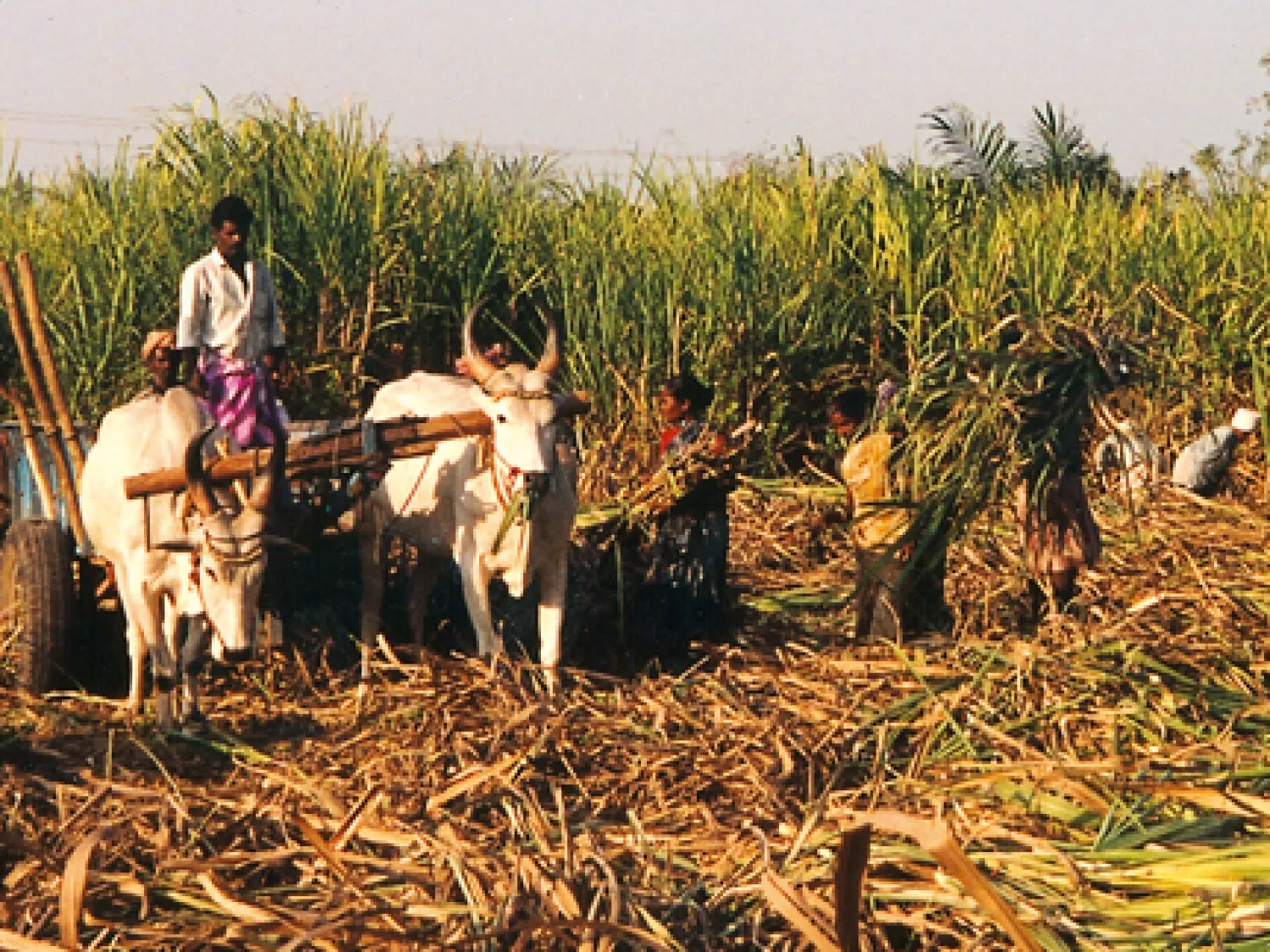 Kadambur – Microfinancing