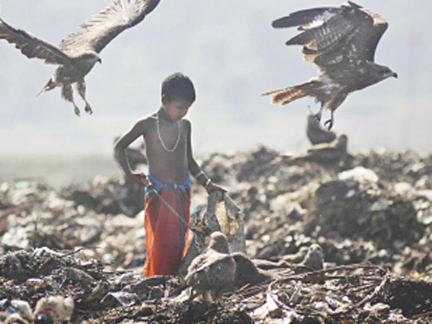 Anbu Ilam Salem, (Trichy) zwerfkinderen