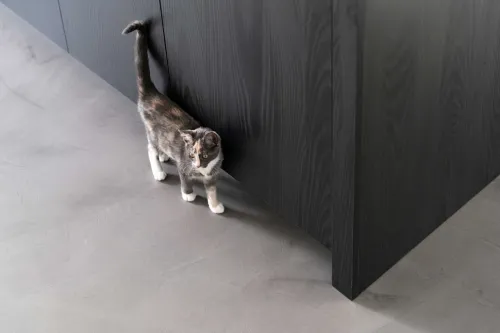 Beton ciré vloer in keuken