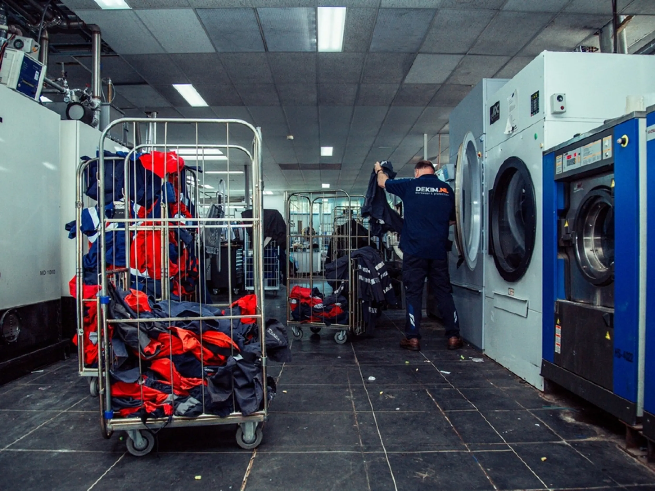 dry clean