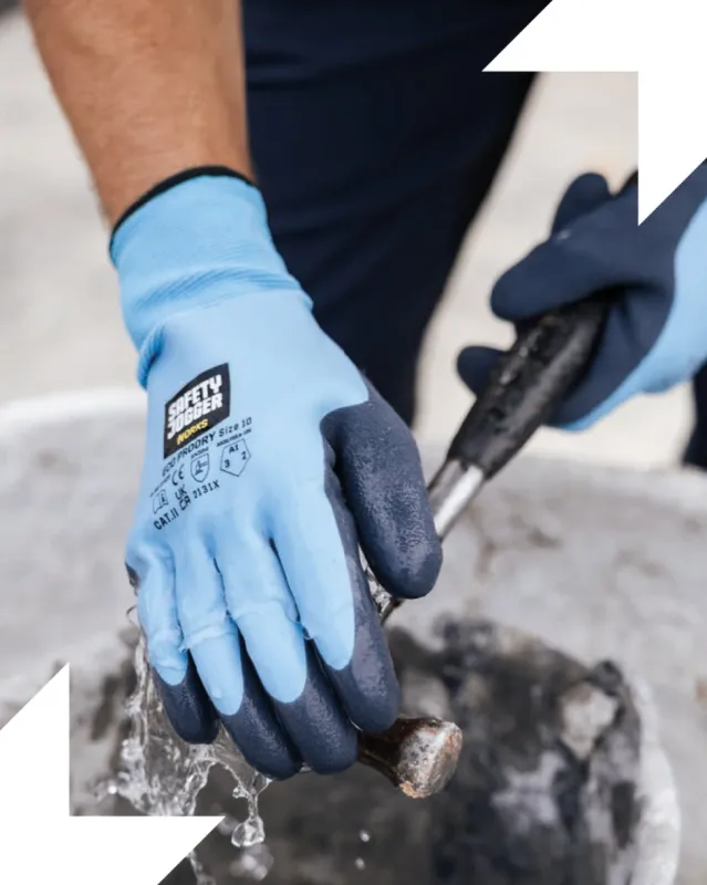 Handschoenen van het zuyden