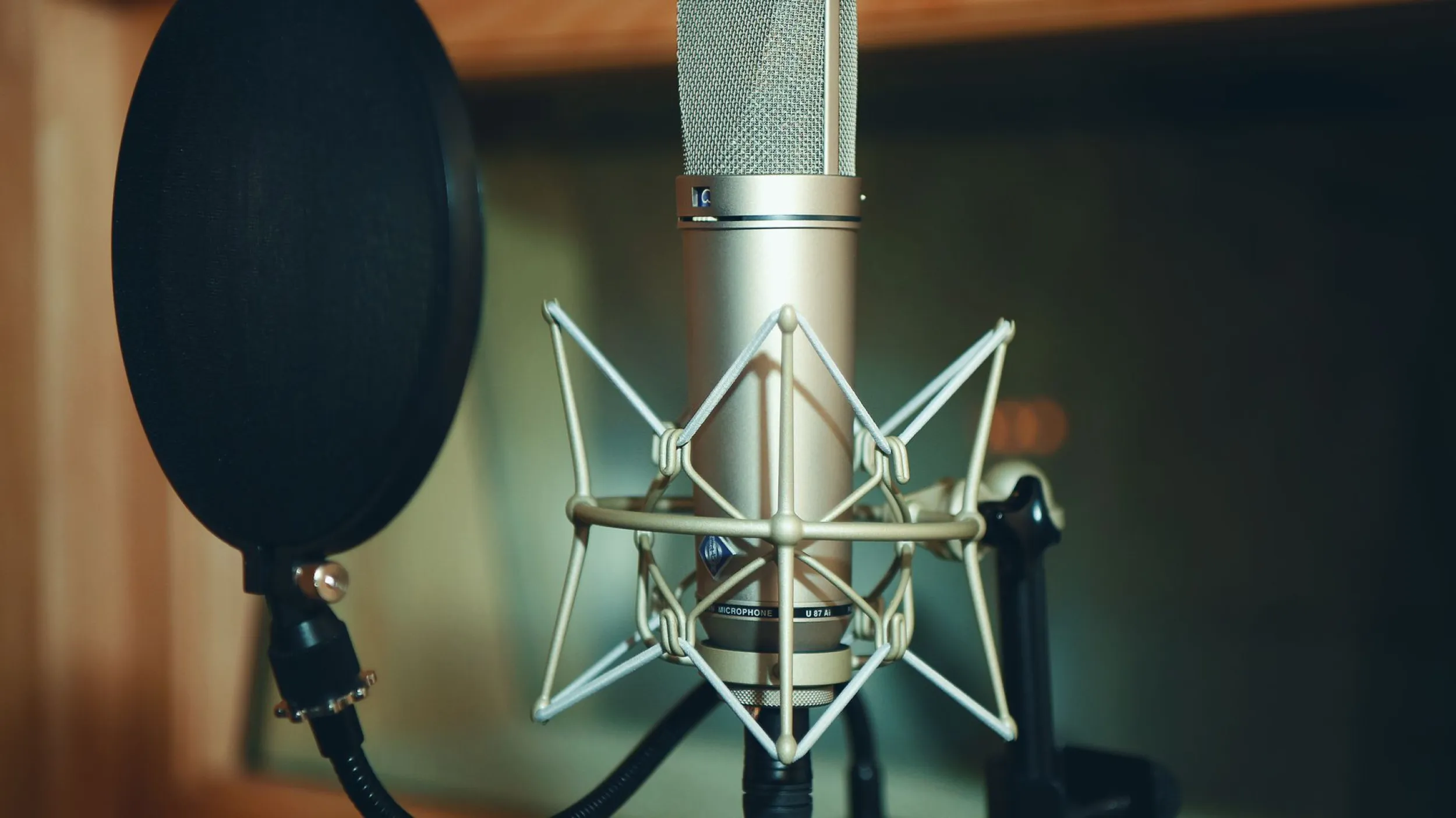 Goede microfoons voor voice-overs en interviews